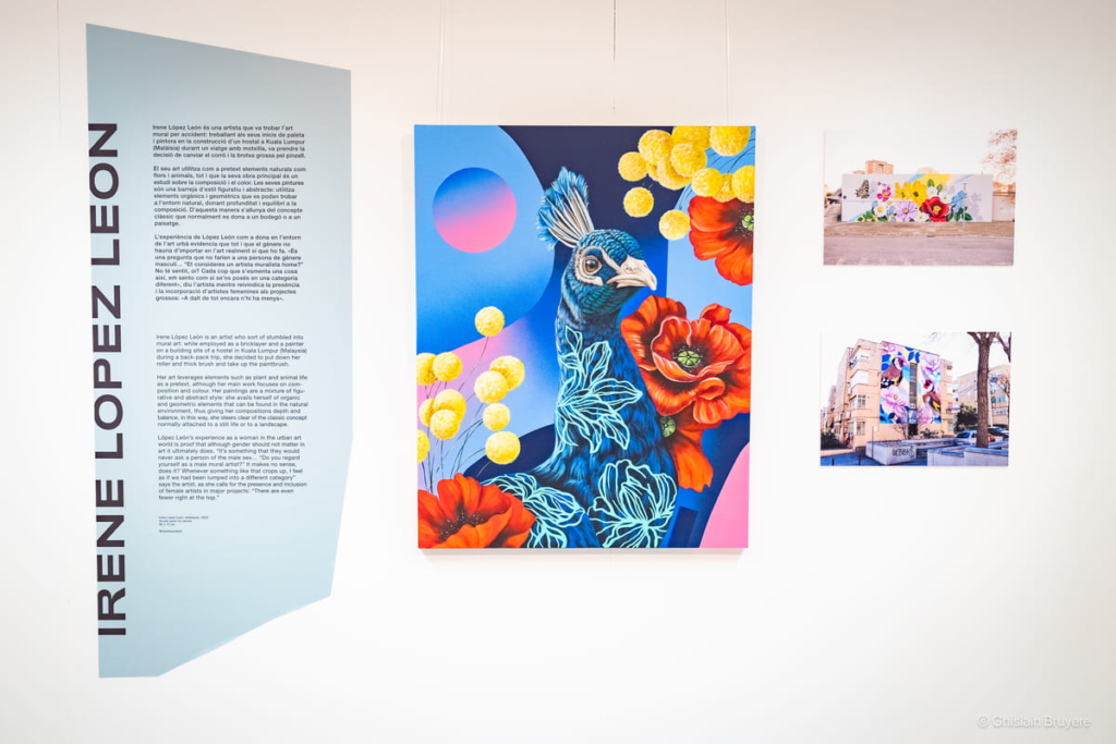 exposicio_art_urba_dones_rebobinart_delegacio_brussel·les (4) Momento de la actividad – Exposición «La otra mitad del arte urbano», Barcelona, arte urbano social, Rebobinart 2023