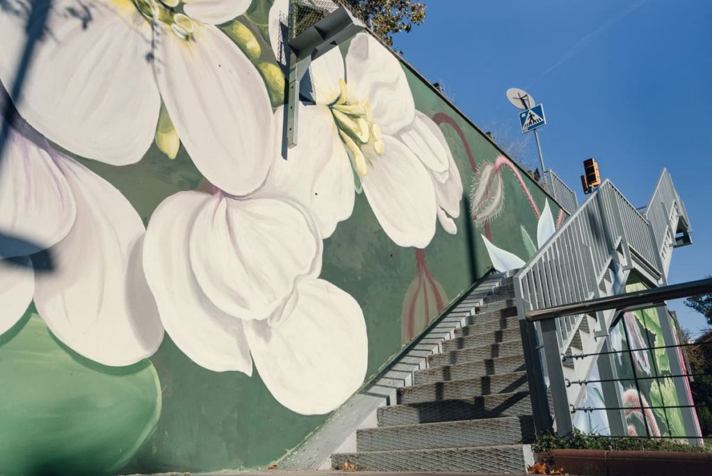 doa-oa-reforestant-i-la-flora-silvestre-mural-nou-barris (3) Muralismo DOA OA, flora silvestre abstracta, intervención Fabra i Puig Nou Barris, Rebobinart