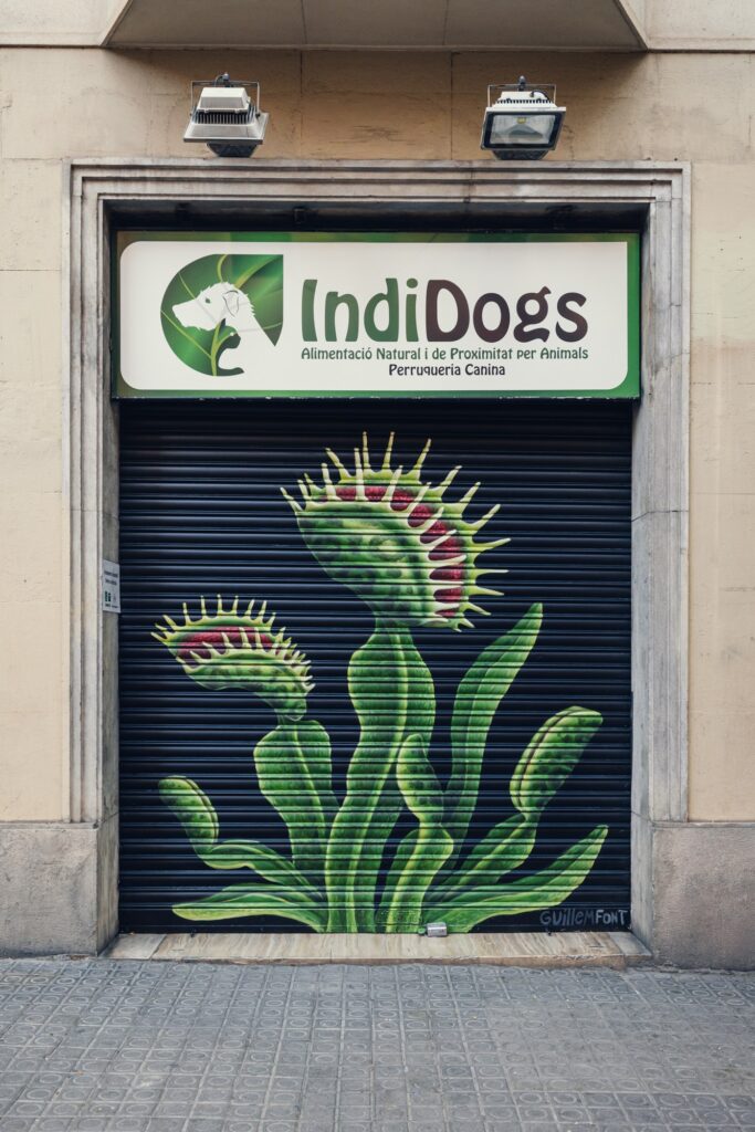 persianas-que-hacen-barrio-indidogs-guillem-font Persiana de IndiDogs pintada por Guillem Font con una dionaea muscipula, planta carnívora con manchas de piel de animal, sobre fondo negro — Persianes que fan barri, Gràcia, Barcelona, Rebobinart 2026
